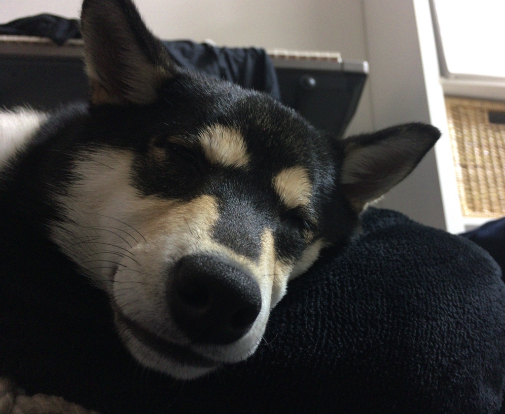 f:id:big-yamatohou:20180824192631j:plain f:id:big-yamatohou:20180824192631j:plain