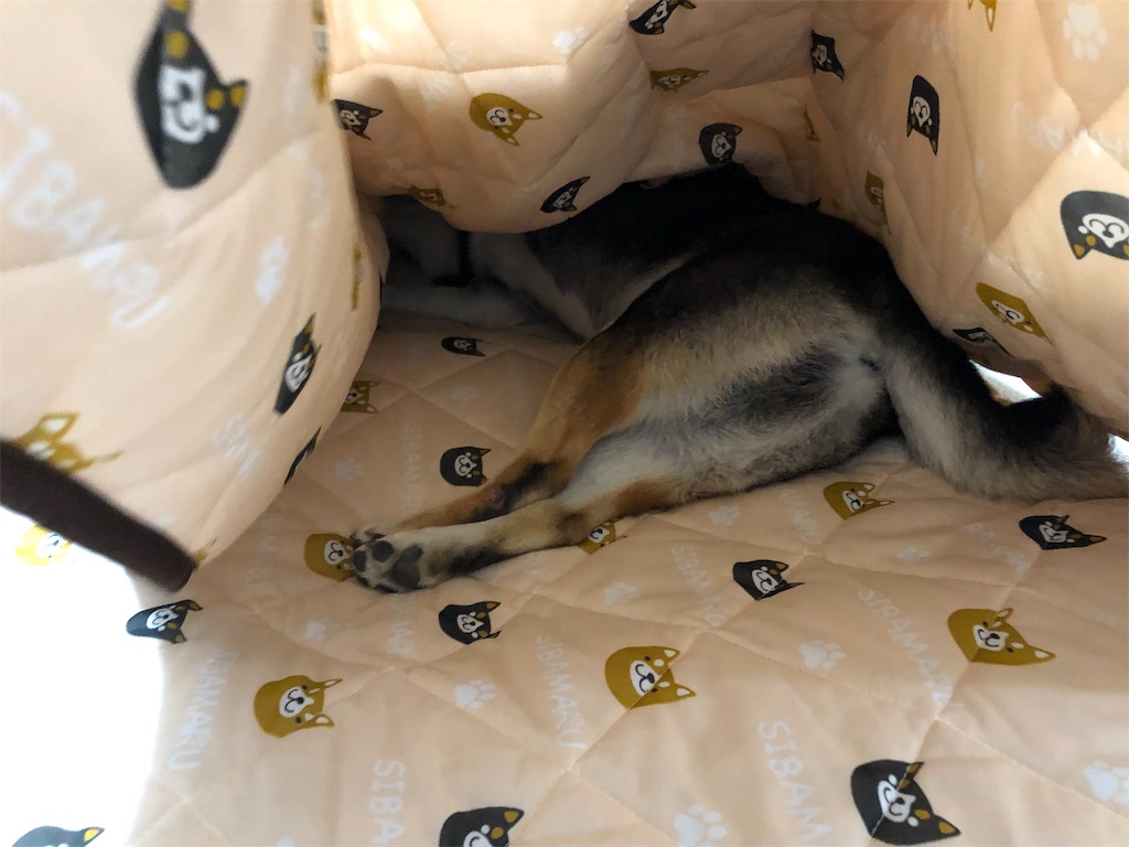 f:id:big-yamatohou:20190516212322j:image