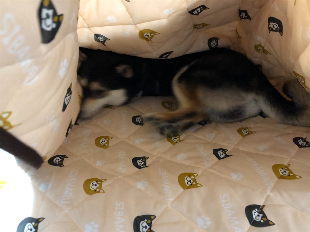 f:id:big-yamatohou:20190516212330j:image