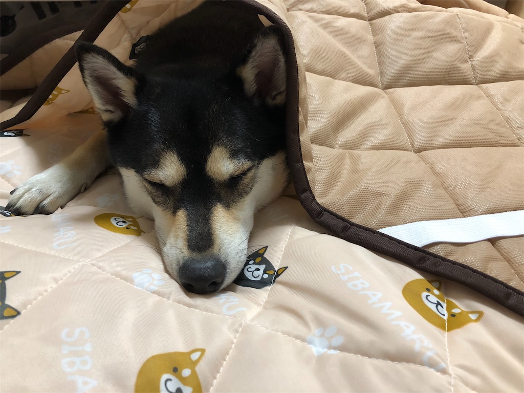 f:id:big-yamatohou:20190516230058j:image