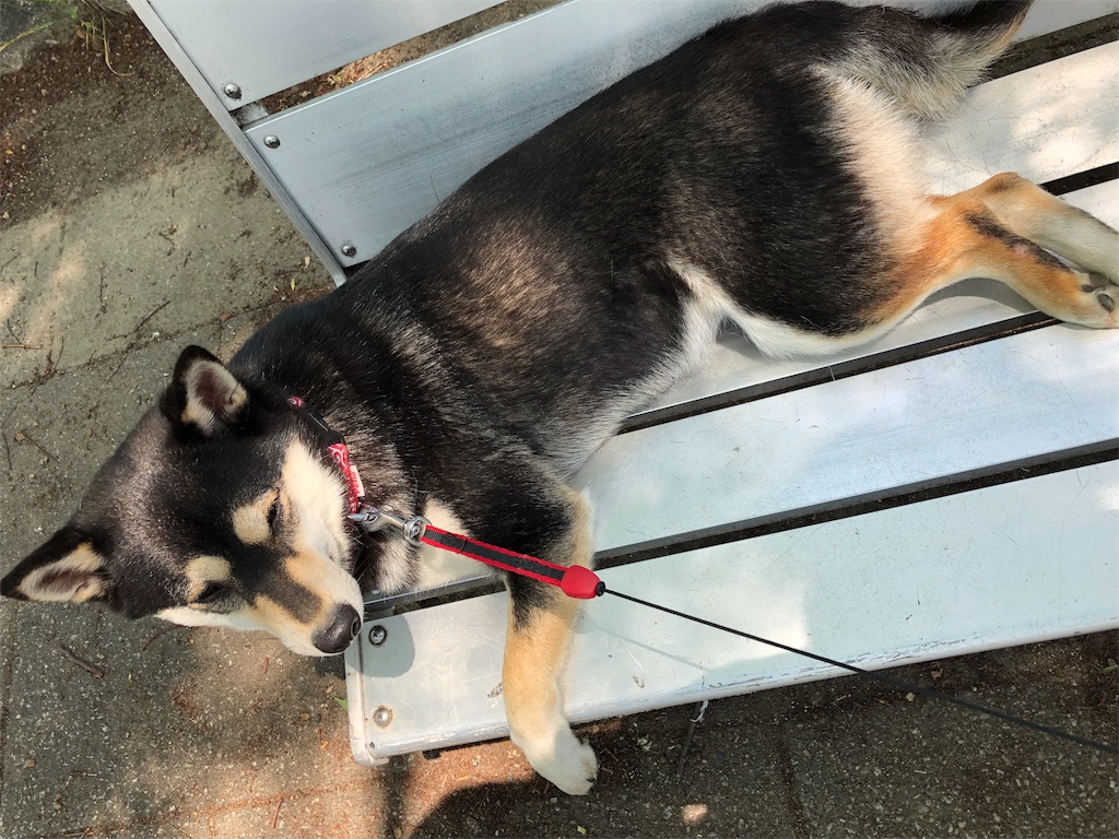 f:id:big-yamatohou:20190525184527j:image