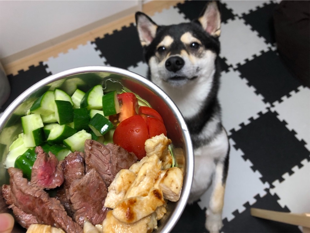 f:id:big-yamatohou:20190622191608j:image