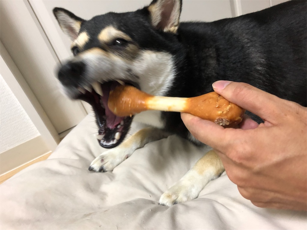 f:id:big-yamatohou:20190622191630j:image