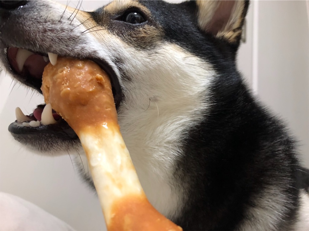 f:id:big-yamatohou:20190622191635j:image