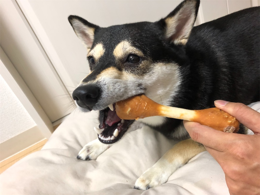 f:id:big-yamatohou:20190622191638j:image
