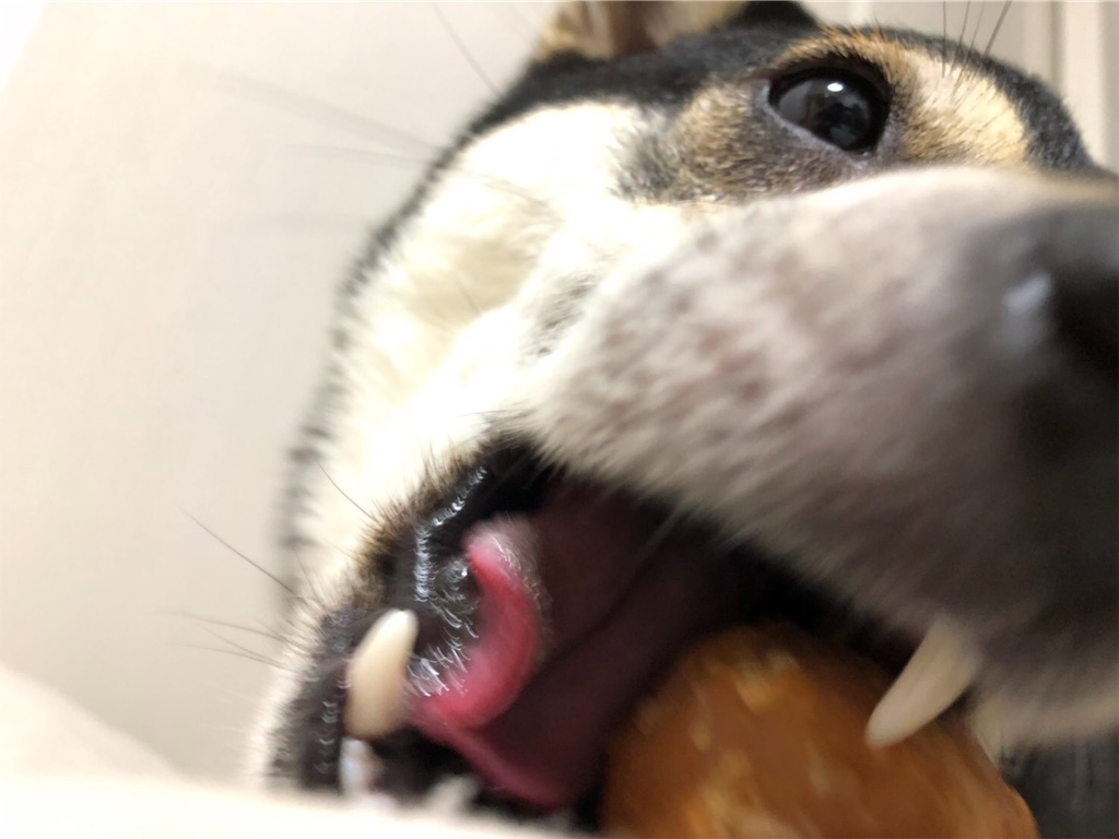 f:id:big-yamatohou:20190622191641j:image
