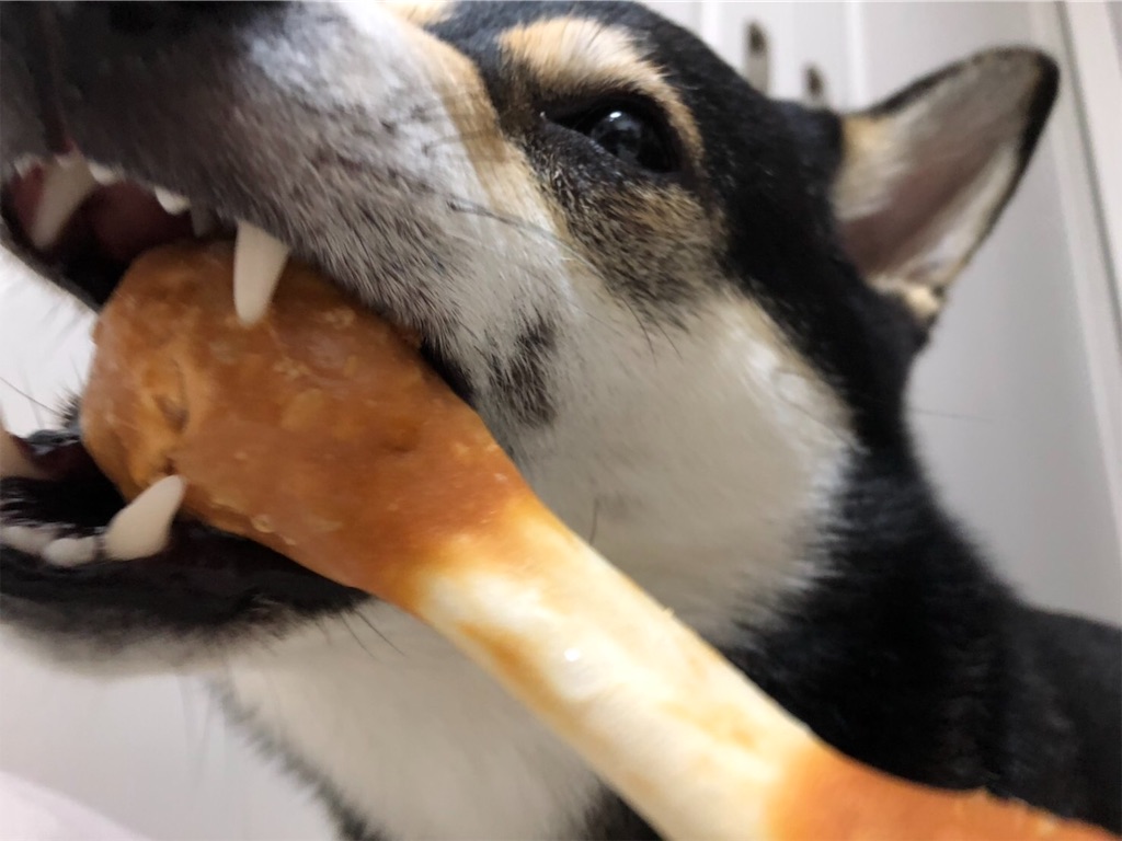 f:id:big-yamatohou:20190622191645j:image