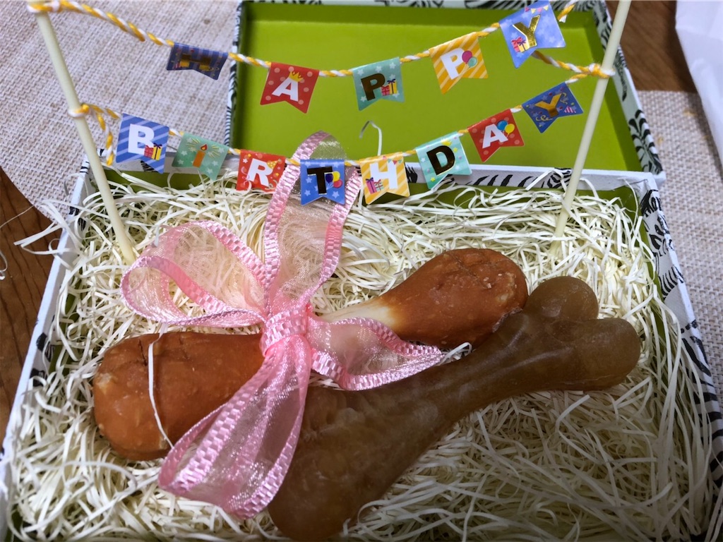 犬　誕生日