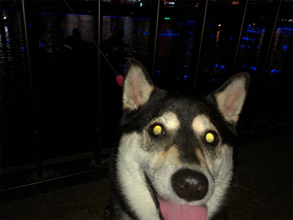 f:id:big-yamatohou:20190710223822j:image