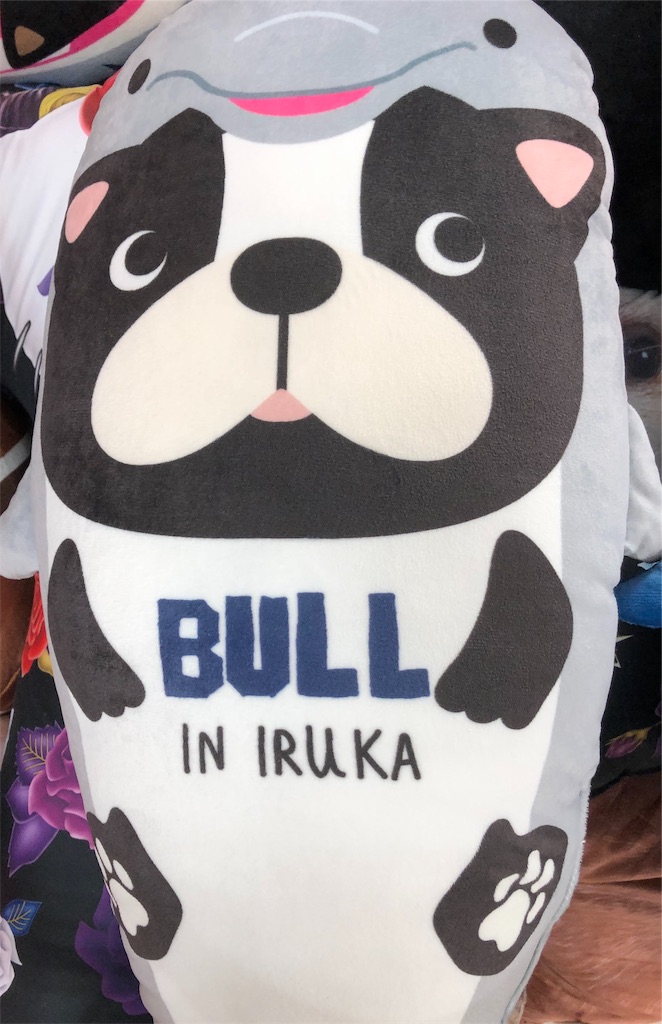 鮫黒しば丸って何だ？【柴犬グッズ・品番】しまむら クッション - 黒柴