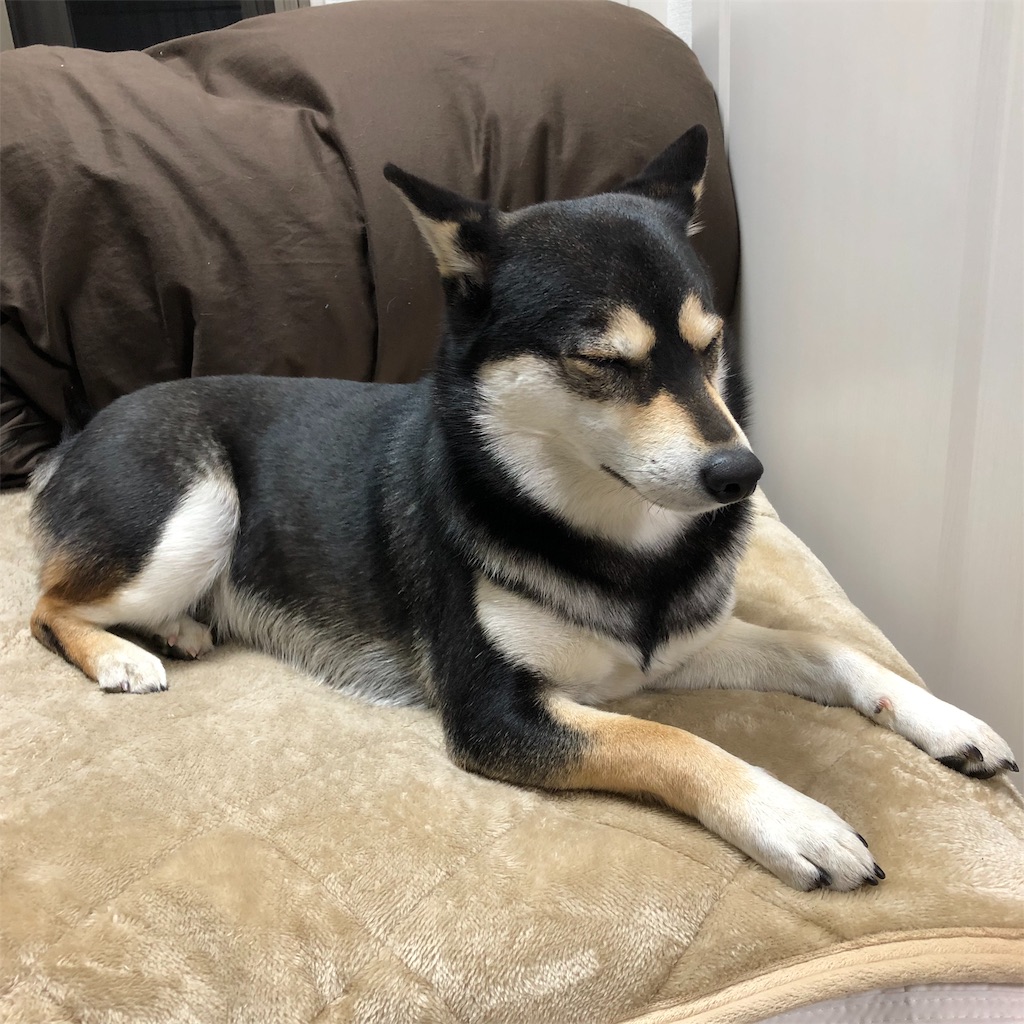 f:id:big-yamatohou:20190726001334j:image f:id:big-yamatohou:20190726001334j:image