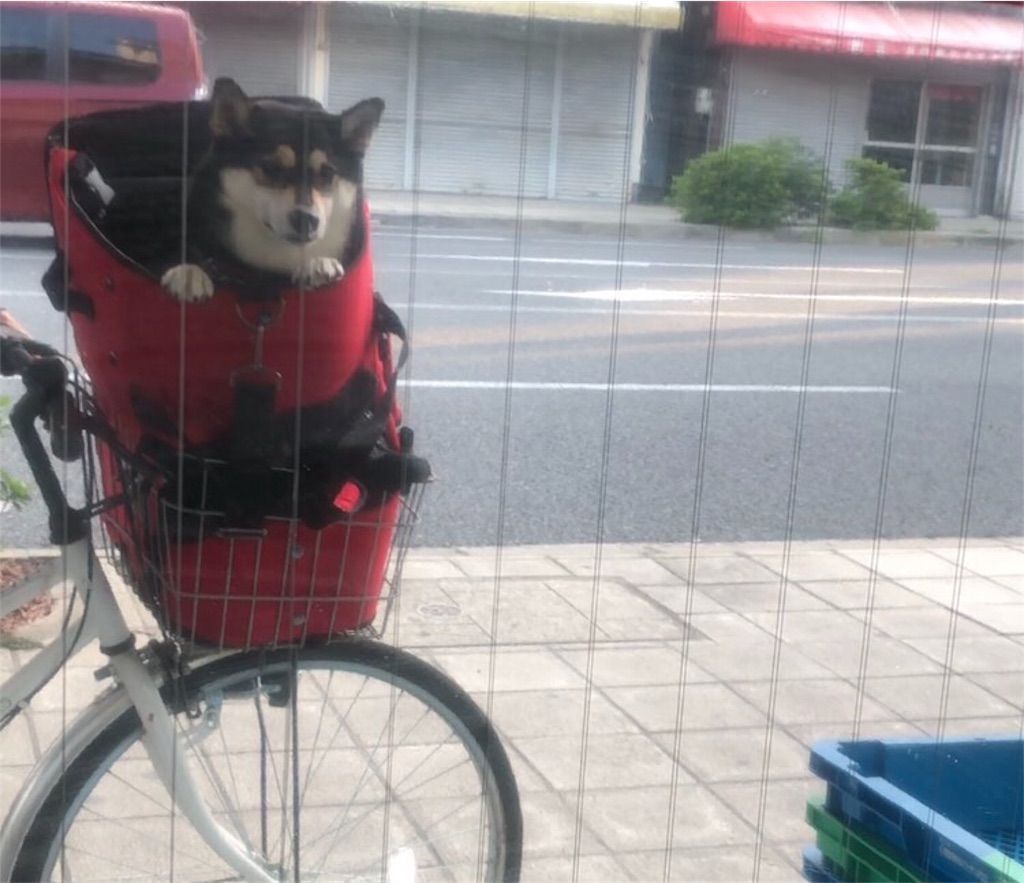 f:id:big-yamatohou:20190726005155j:image f:id:big-yamatohou:20190726005155j:image