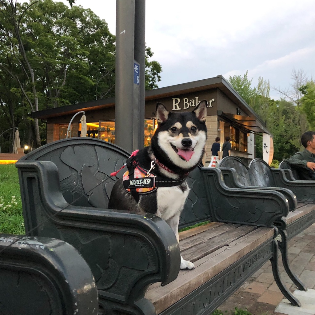 f:id:big-yamatohou:20190726005446j:image f:id:big-yamatohou:20190726005446j:image