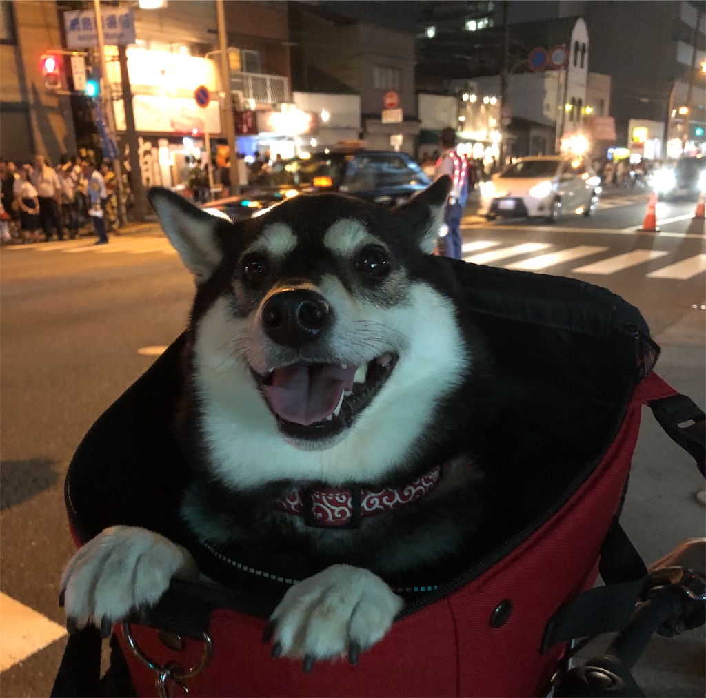 f:id:big-yamatohou:20190726011702j:image f:id:big-yamatohou:20190726011702j:image