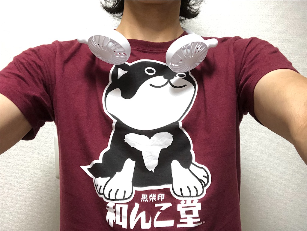 f:id:big-yamatohou:20190806232814j:image f:id:big-yamatohou:20190806232814j:image