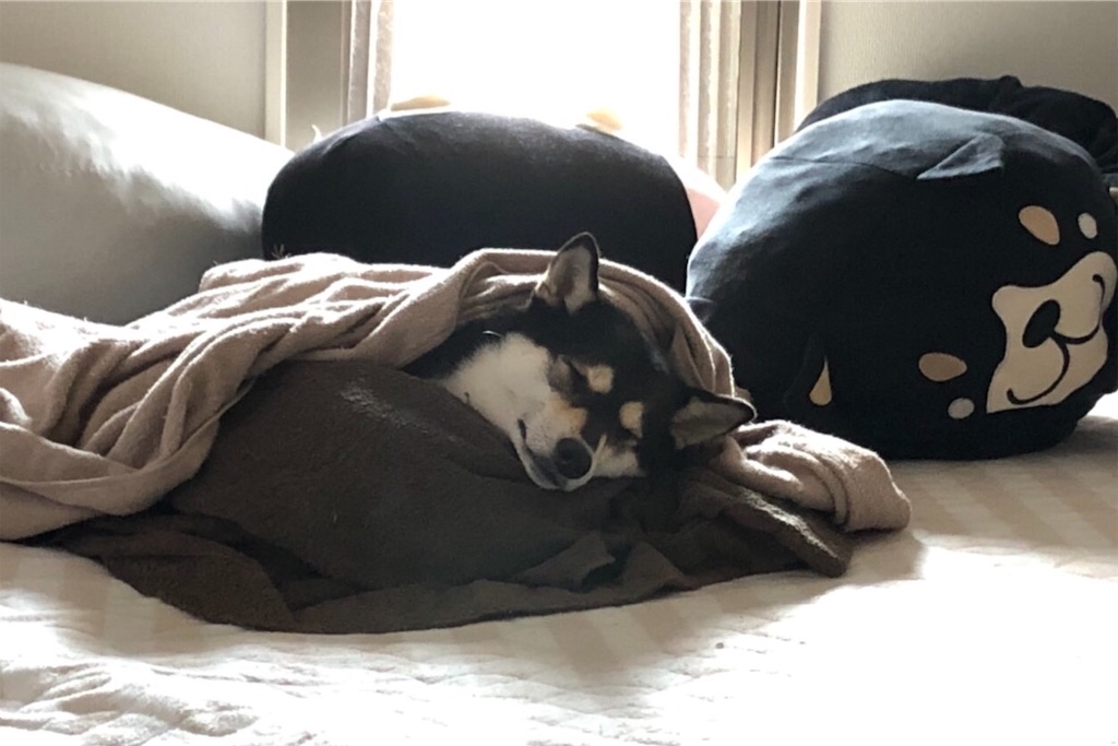 f:id:big-yamatohou:20190807001908j:image f:id:big-yamatohou:20190807001908j:image