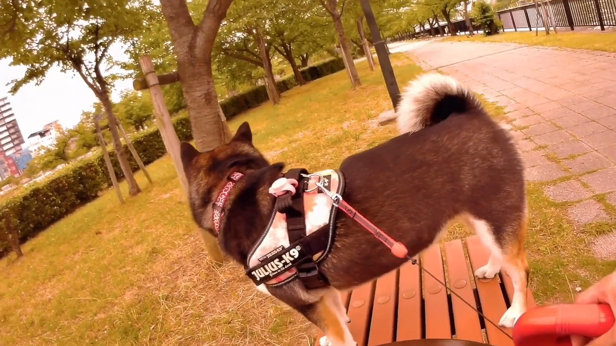 f:id:big-yamatohou:20190810005159p:plain