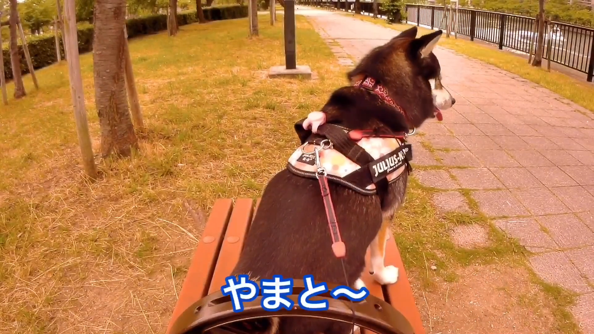 f:id:big-yamatohou:20190810005213p:plain