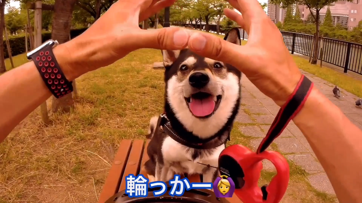 f:id:big-yamatohou:20190810005317p:plain