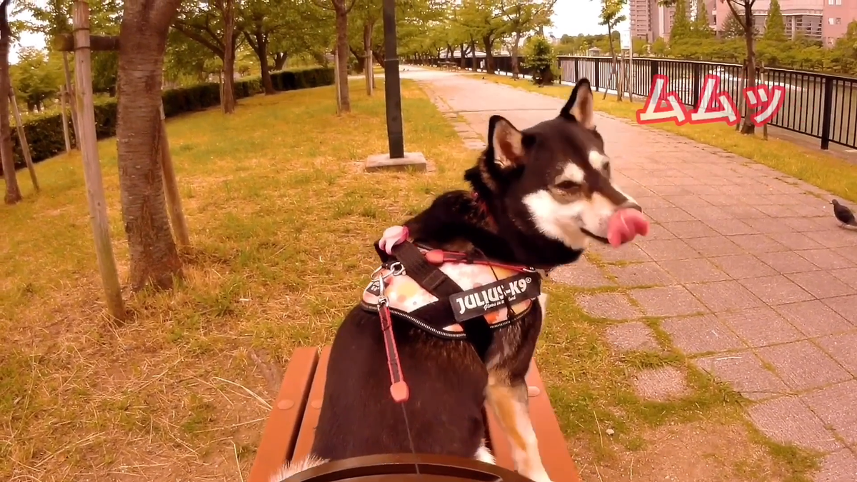 f:id:big-yamatohou:20190810005329p:plain