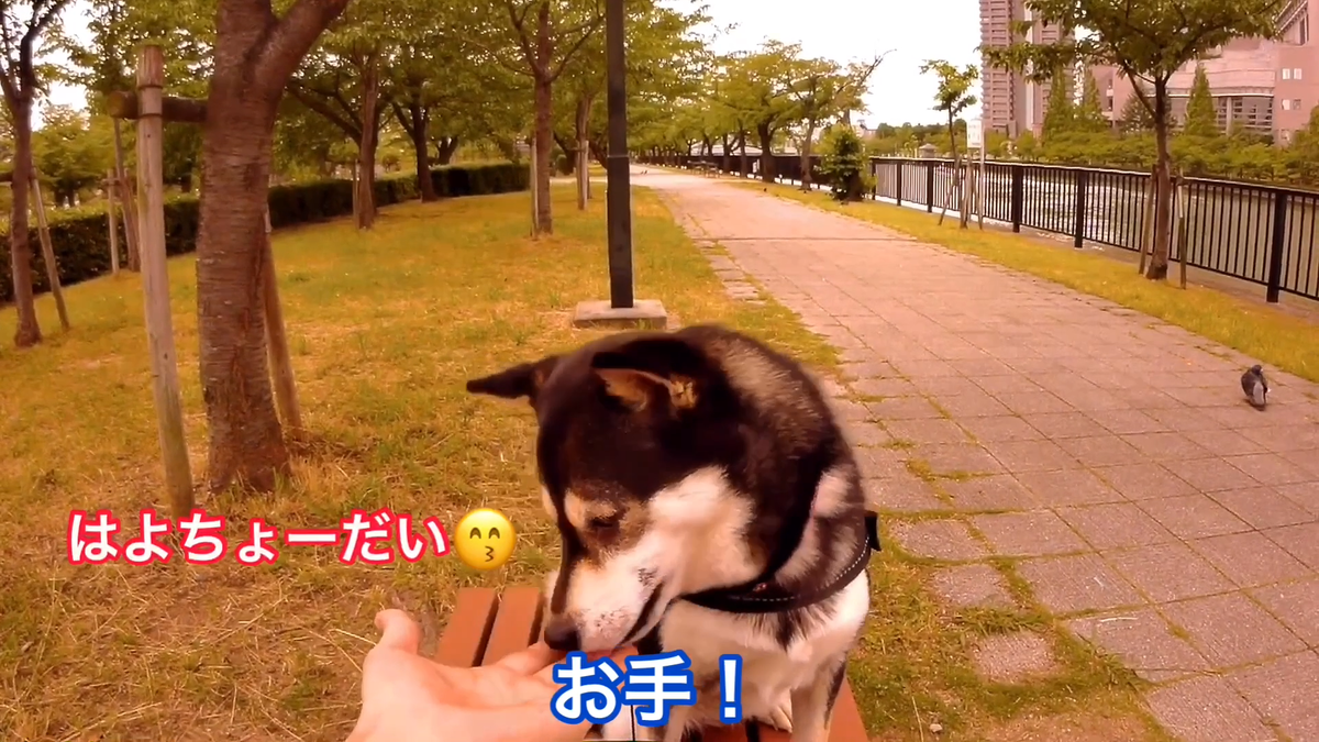 f:id:big-yamatohou:20190810005356p:plain