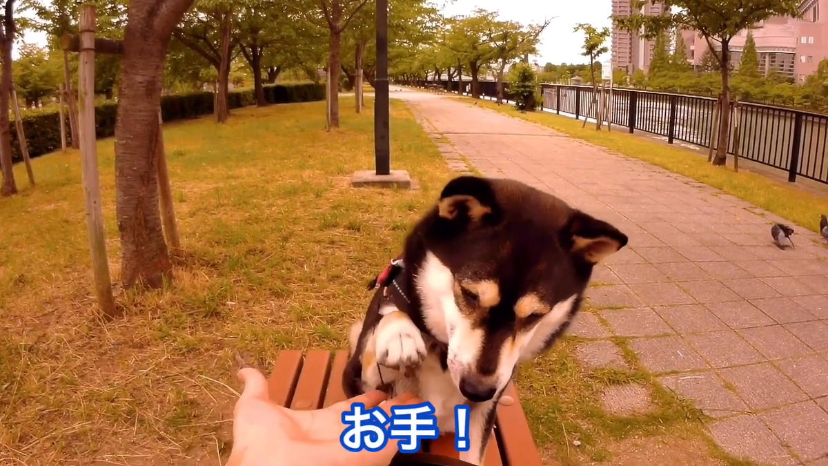 f:id:big-yamatohou:20190810005409p:plain