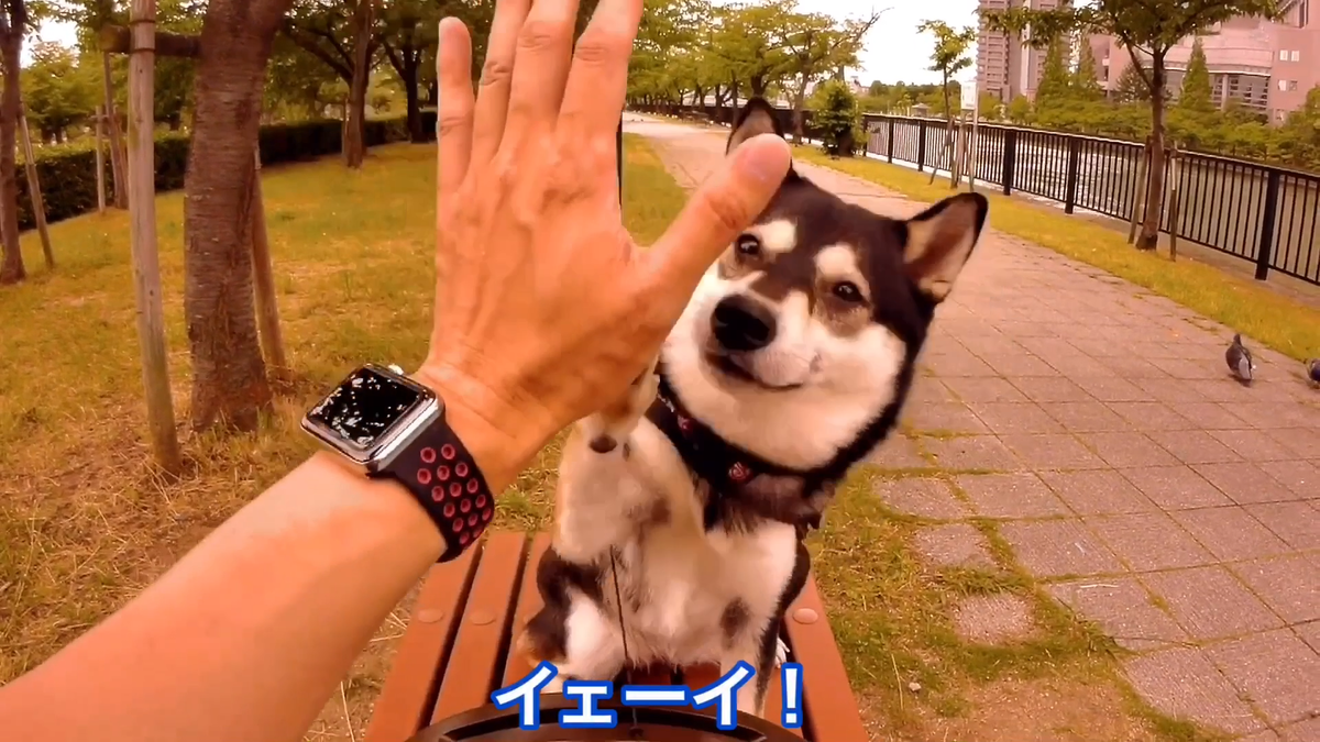 f:id:big-yamatohou:20190810005421p:plain