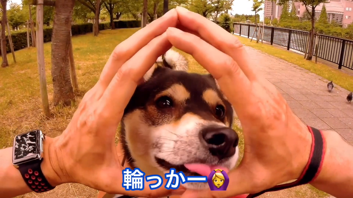 f:id:big-yamatohou:20190810005612p:plain