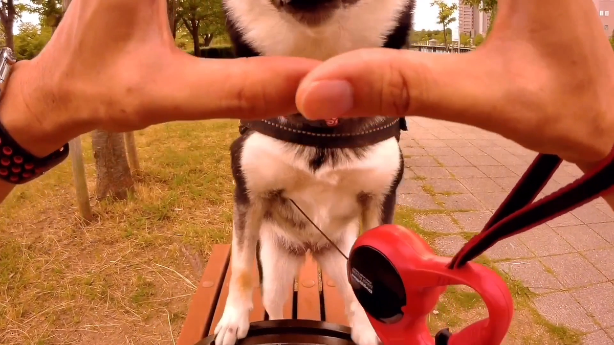 f:id:big-yamatohou:20190810005634p:plain