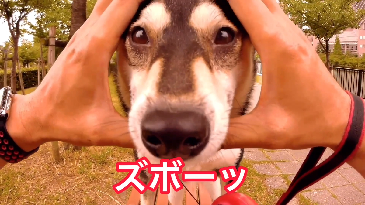 f:id:big-yamatohou:20190810005645p:plain