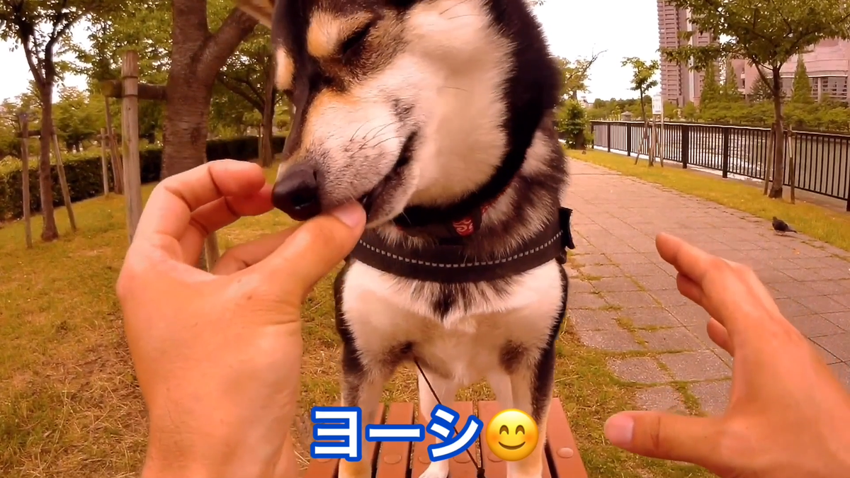 f:id:big-yamatohou:20190810005705p:plain