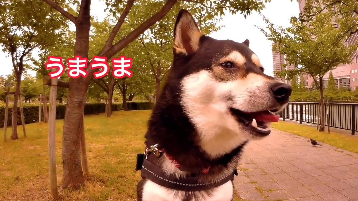 f:id:big-yamatohou:20190810005757p:plain