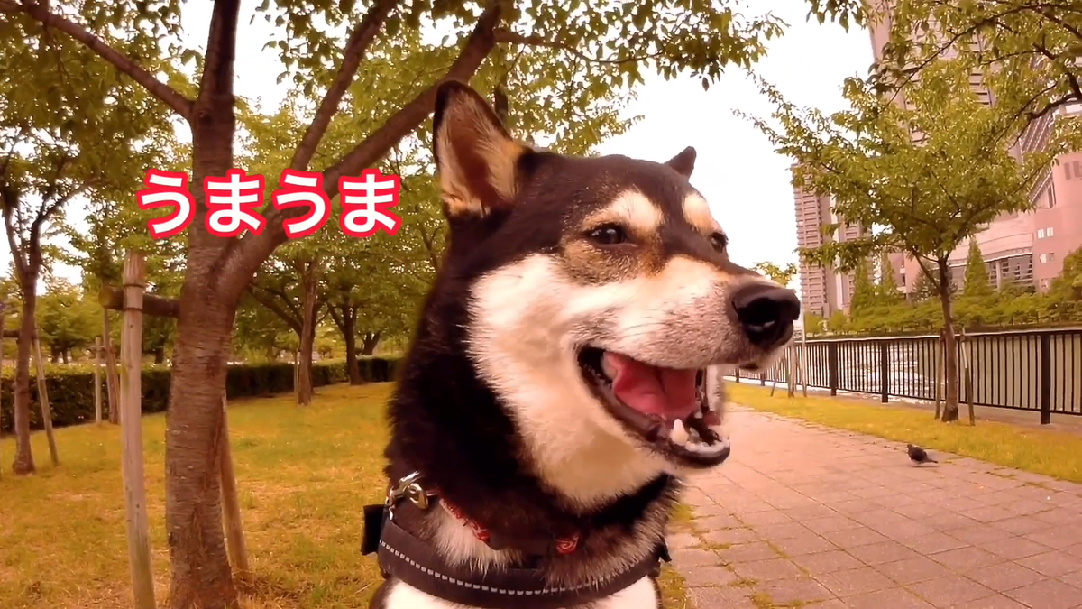 f:id:big-yamatohou:20190810005809p:plain