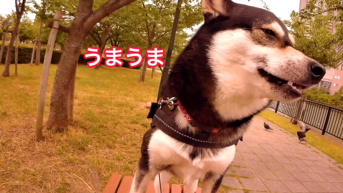 f:id:big-yamatohou:20190810005833p:plain