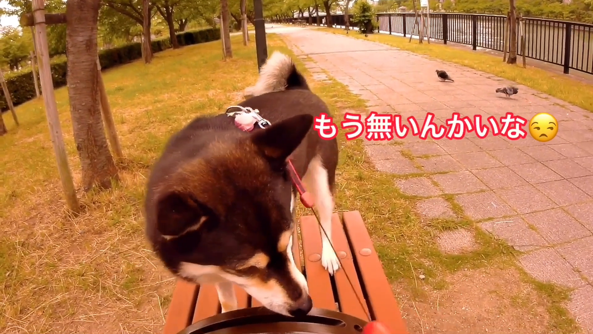 f:id:big-yamatohou:20190810005846p:plain