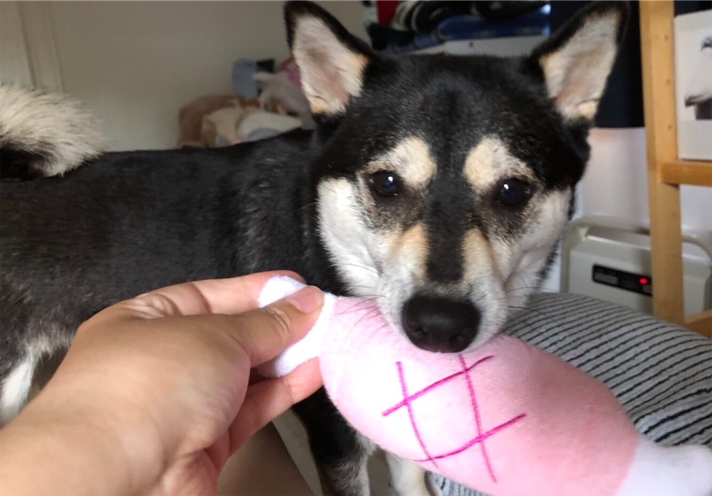 f:id:big-yamatohou:20190812224728j:image