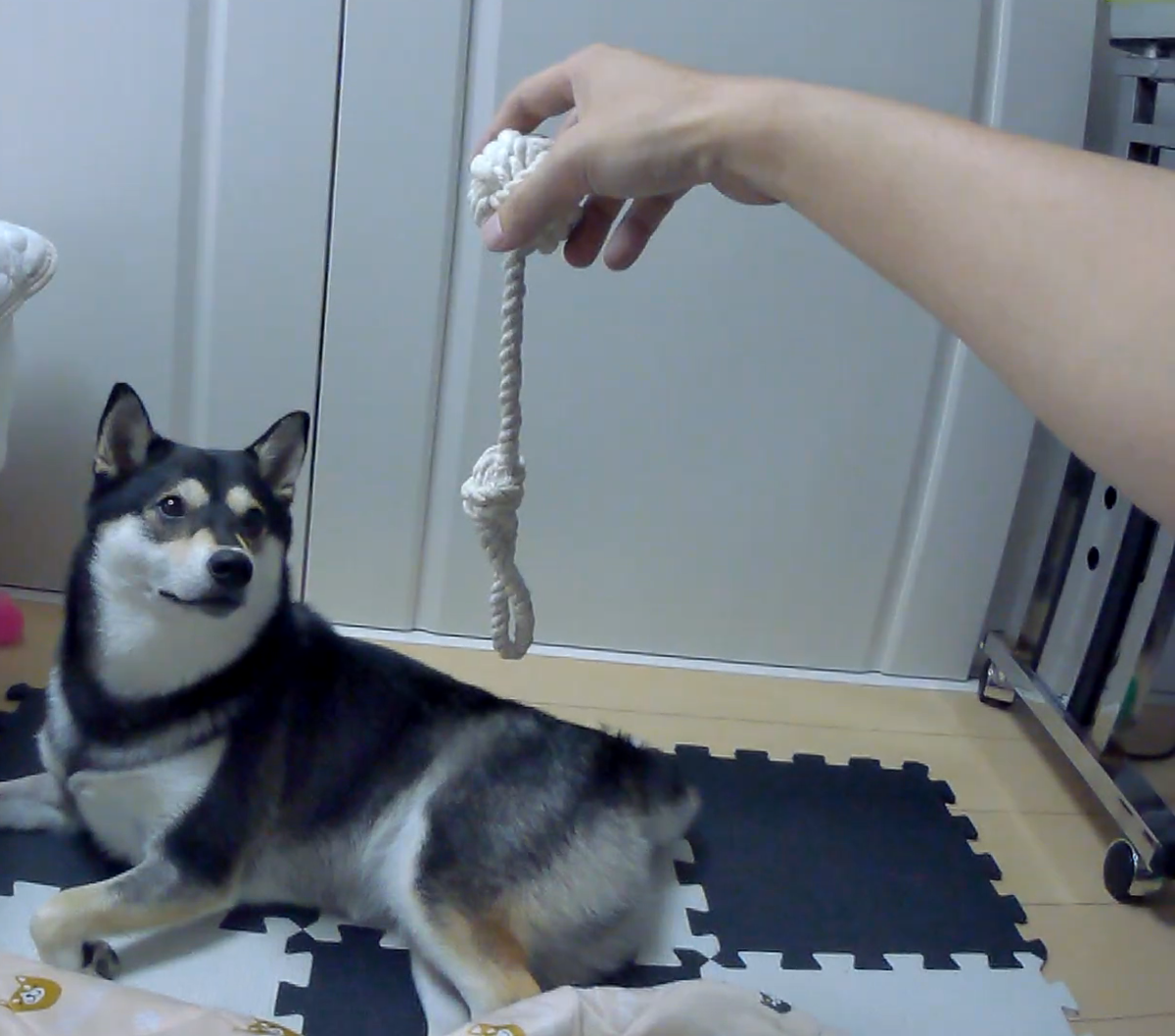 f:id:big-yamatohou:20190812230325p:plain