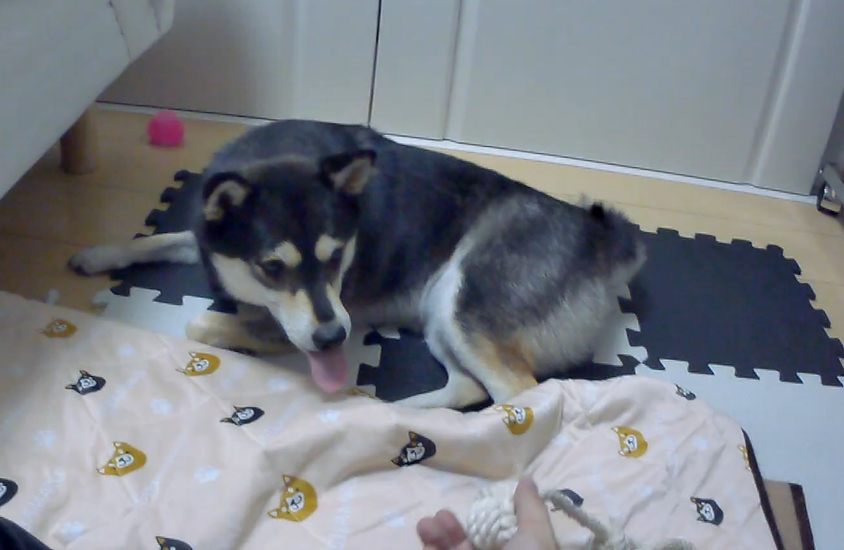 f:id:big-yamatohou:20190812230505p:plain