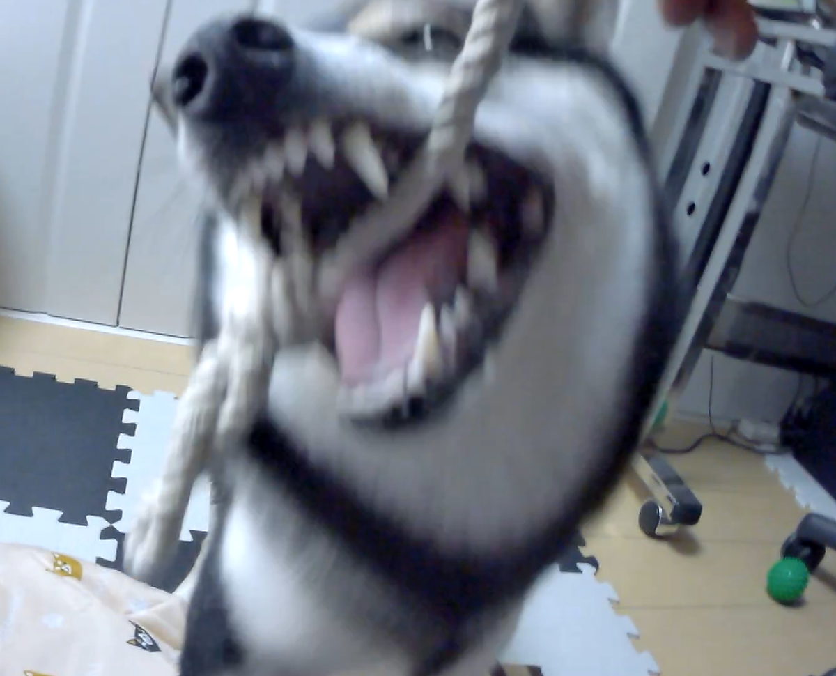 f:id:big-yamatohou:20190812230900p:plain