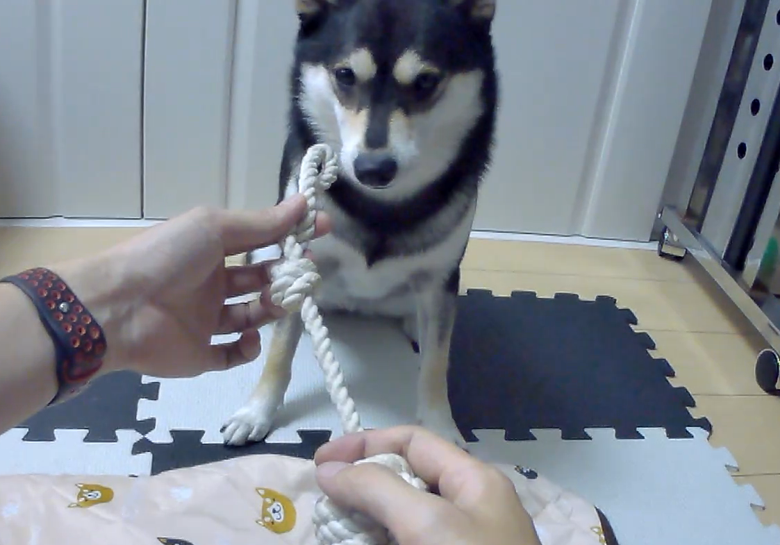 f:id:big-yamatohou:20190812231602p:plain