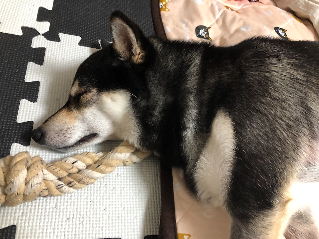 f:id:big-yamatohou:20190813002012j:image