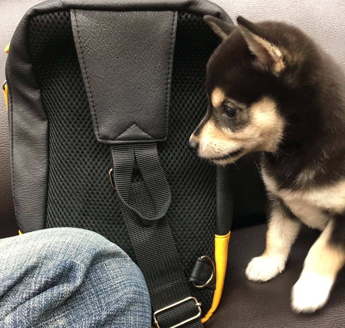 f:id:big-yamatohou:20190818192914j:plain f:id:big-yamatohou:20190818192914j:plain