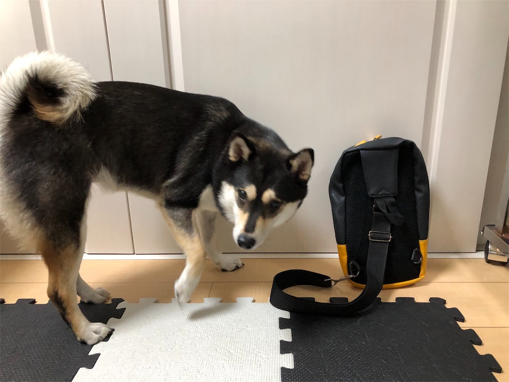 f:id:big-yamatohou:20190818194946j:image f:id:big-yamatohou:20190818194946j:image