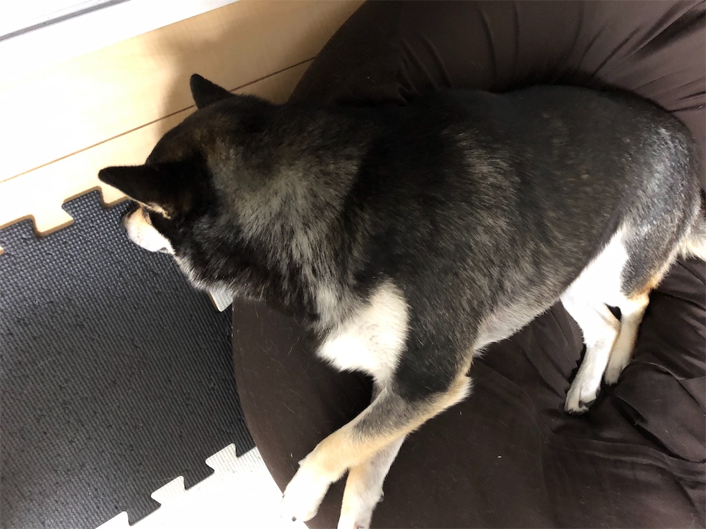 f:id:big-yamatohou:20190902234307j:plain f:id:big-yamatohou:20190902234307j:plain