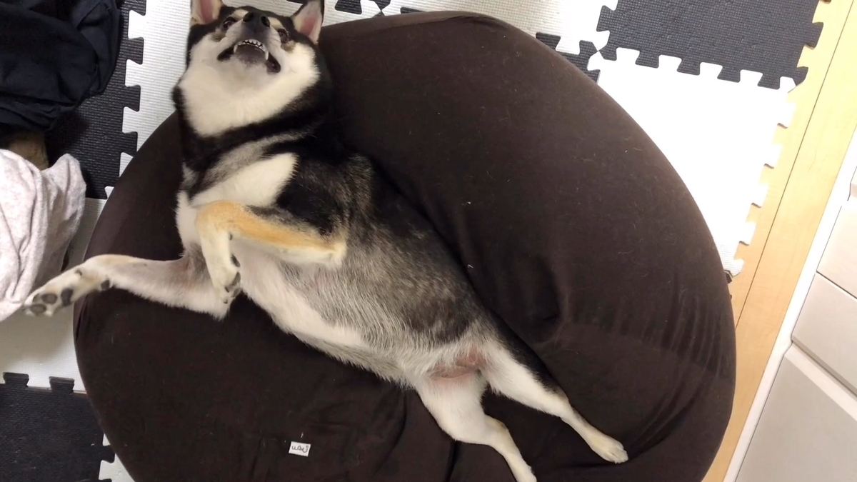 f:id:big-yamatohou:20190903004545j:plain f:id:big-yamatohou:20190903004545j:plain