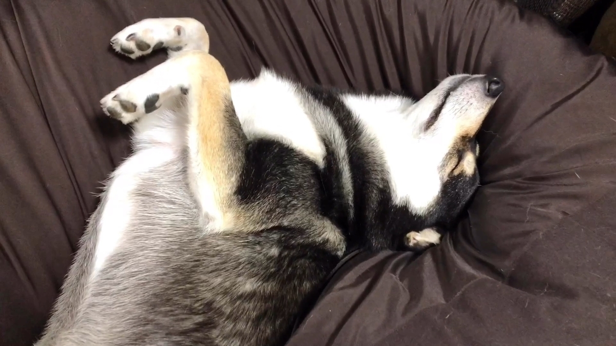 f:id:big-yamatohou:20190903004725j:plain f:id:big-yamatohou:20190903004725j:plain