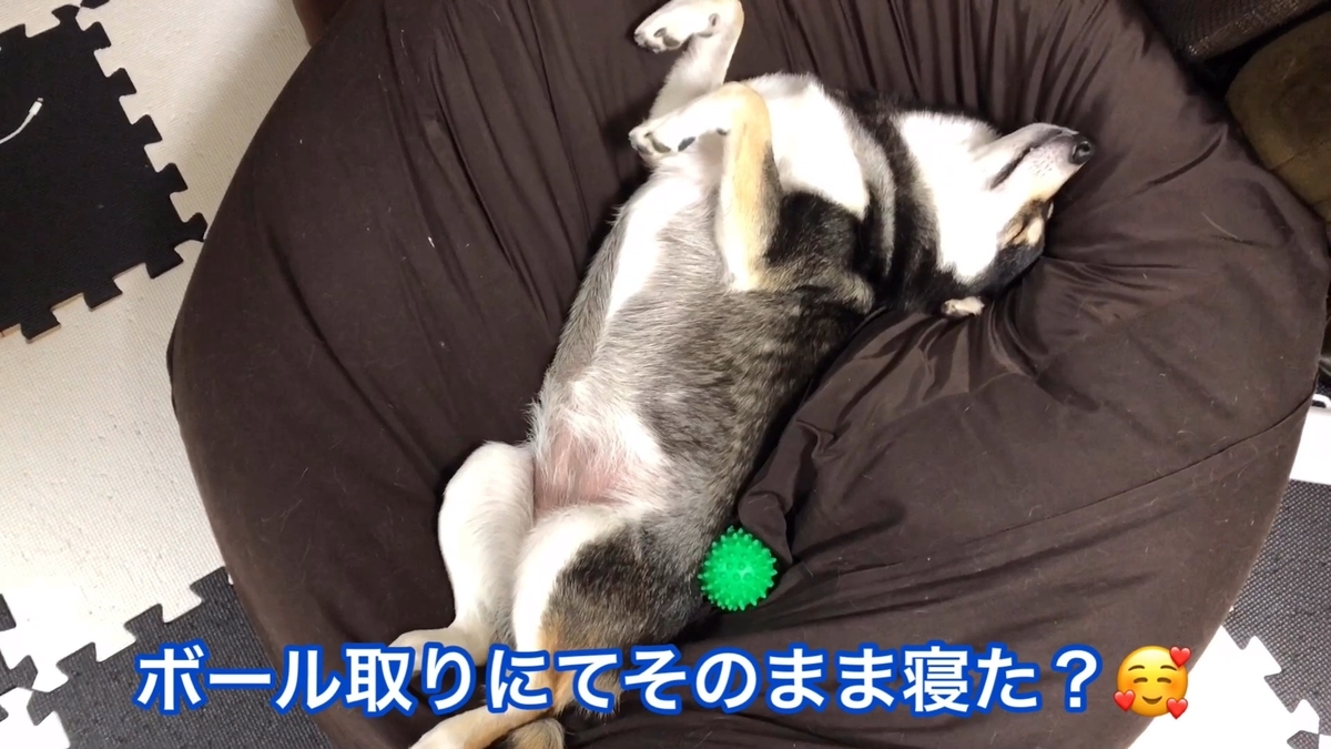 f:id:big-yamatohou:20190903004751j:plain f:id:big-yamatohou:20190903004751j:plain