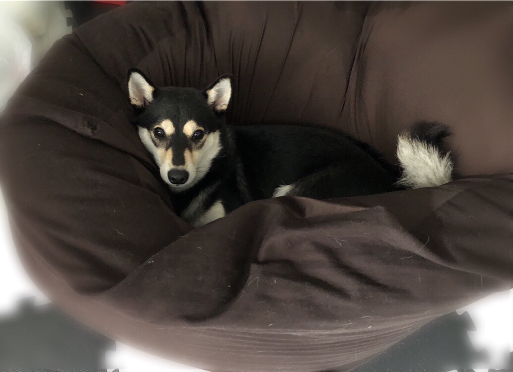 f:id:big-yamatohou:20190903010851j:image f:id:big-yamatohou:20190903010851j:image