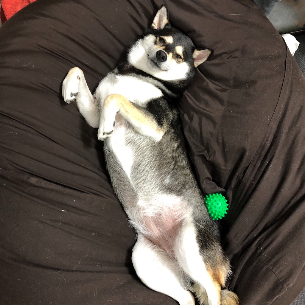 f:id:big-yamatohou:20190903010916j:image f:id:big-yamatohou:20190903010916j:image