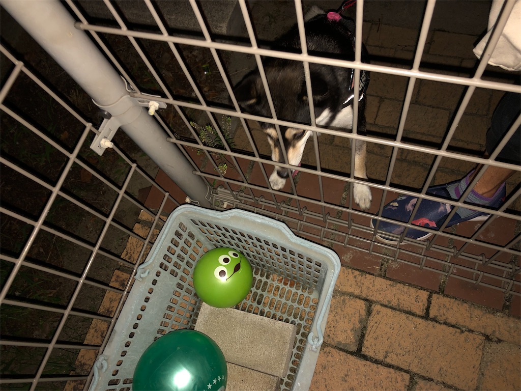 f:id:big-yamatohou:20190909002122j:plain f:id:big-yamatohou:20190909002122j:plain